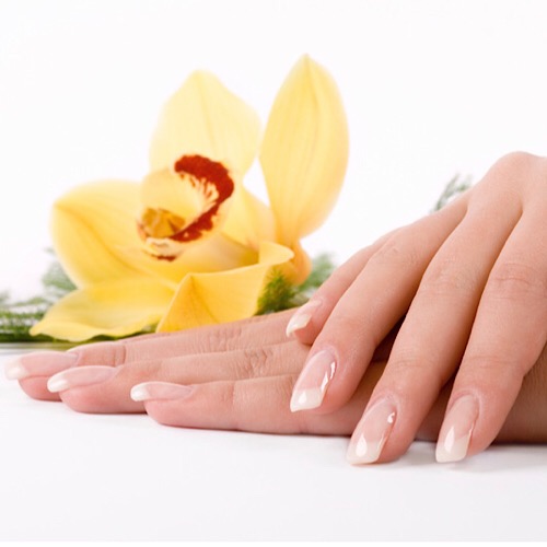 Gel / Shellac Service